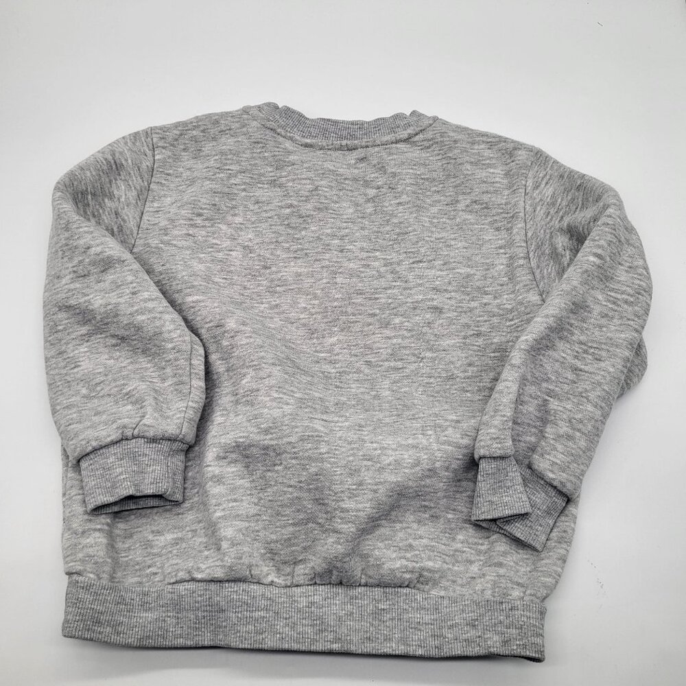 H&M x Paw Patrol Toddler Girls Sweatshirt SZ 3/4T Gray Graphic Print - Picture 2 of 7